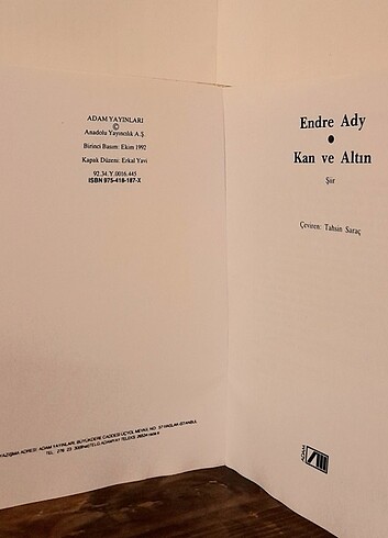 Kan ve Altın - Endre Ady - Görsel 2