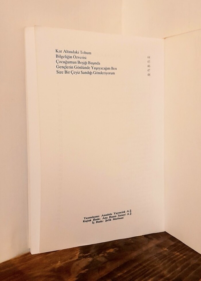  Kan ve Altın  - Endre Ady - Görsel 5