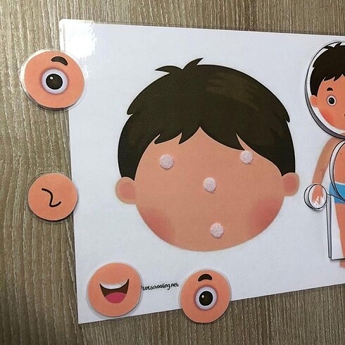 Beden Vücudumuzu parçaları