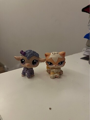 Lps kedi miniş,ve kuzu miniş persian kedi miniş