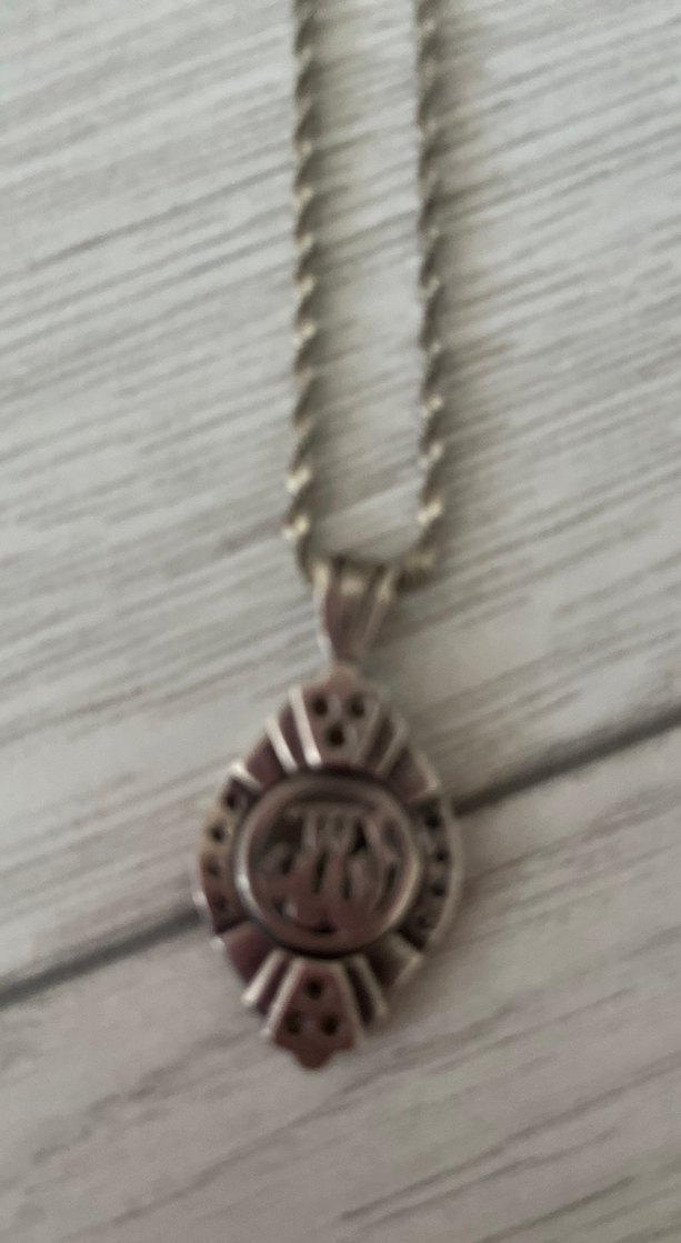 Yılan Desenli Zincir Detaylı Midi Kadın Kolye - Görsel 2