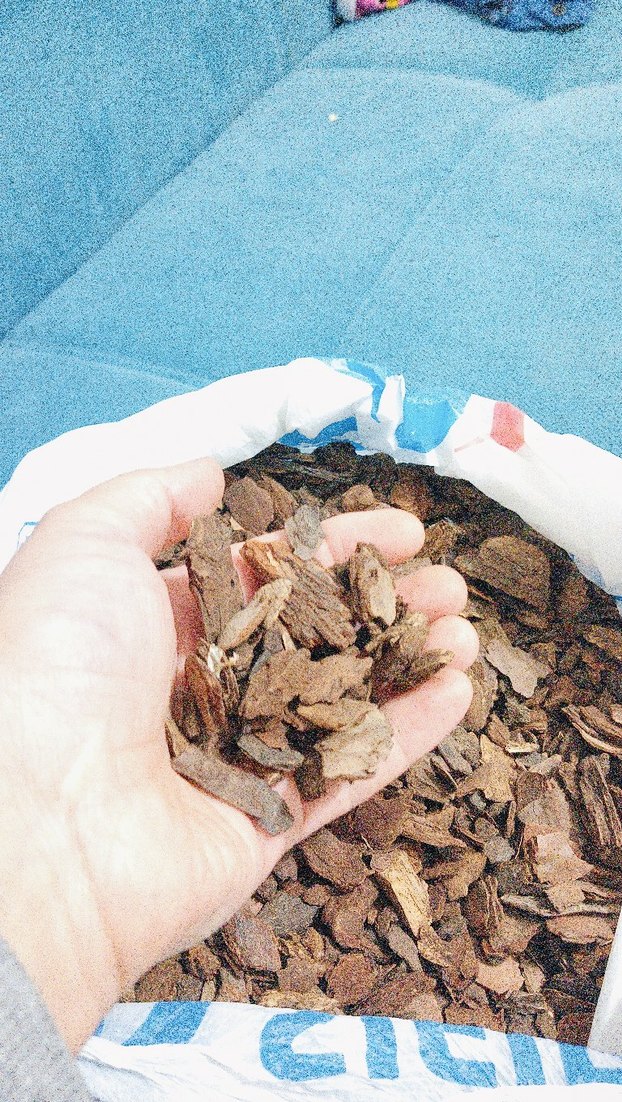 orkide toprağı - Görsel 3