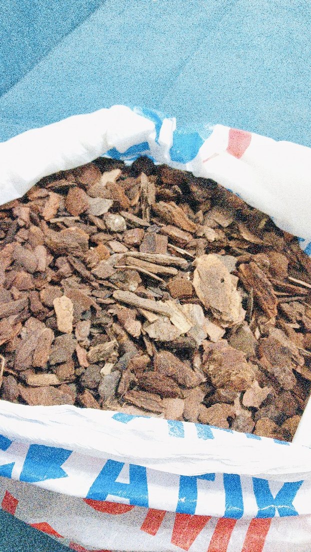 orkide toprağı - Görsel 2