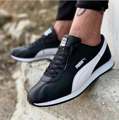 Puma erkek