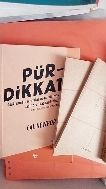 Fesleğen, pür dikkat, 2 ajanda