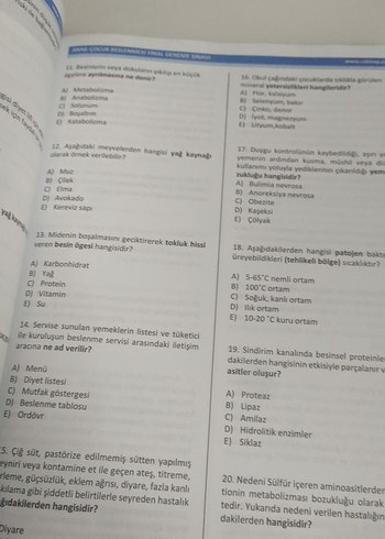 Çocuk Gelişimi 1. Sınıf Bahar Dönemi Lisans Kitapları - Görsel 4