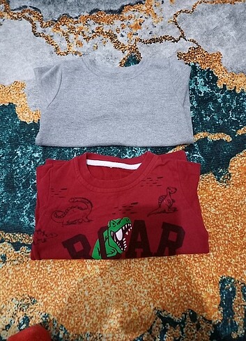 Erkek bebek sweatshirt