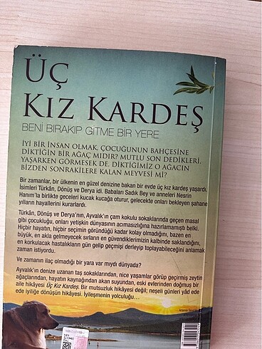  Üç kız kardeş roman