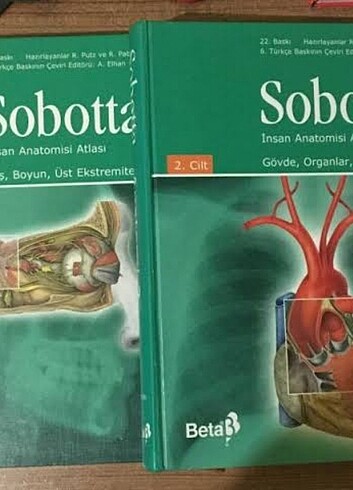 Sobotta anatomi atlası 