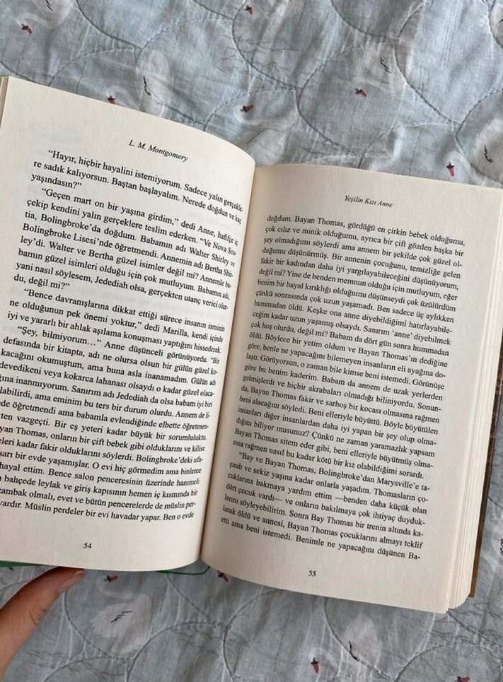 Yeşilin Kızı Anne Ciltli Kitap - Görsel 3