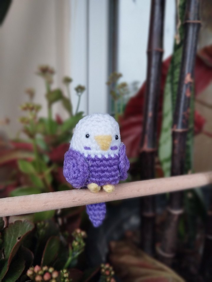 Örgü Muhabbet Kuşu Anahtarlıkları - Görsel 4