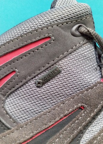 Salomon Ridgeback Mid 2 GTX - Görsel 3