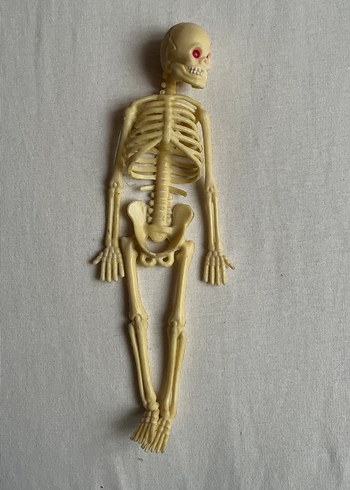 Bej İskelet Figürü Oyuncak