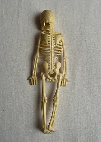 Bej İskelet Figürü Oyuncak - Görsel 2