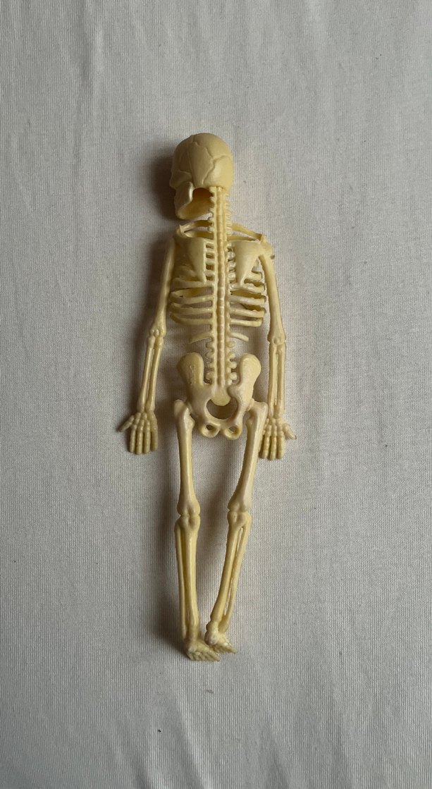 Bej İskelet Figürü Oyuncak - Görsel 2