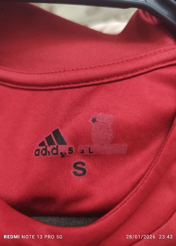 Galatasaray Erkek Kısa Kollu Forma - Görsel 6