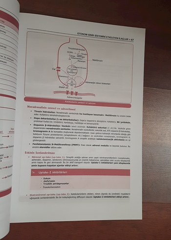 Farmakoloji - 2. Baskı, Fakülte ve Modül Sınavları için