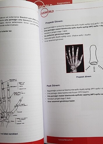 Dusworld konu kitapları. - Görsel 3