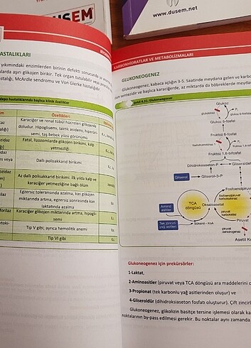 Dusem Konu Kitapları - Görsel 6