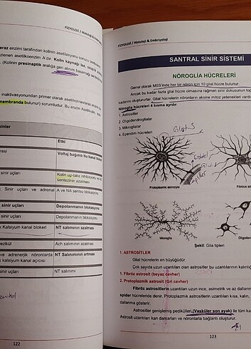 Dusem Konu Kitapları - Görsel 7