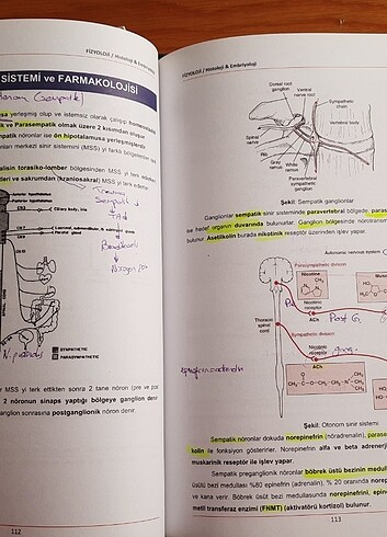 Dusem Konu Kitapları - Görsel 9