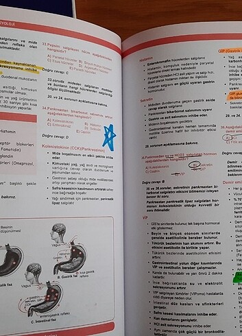 Dusdata temel bilimler soru kitapları - Görsel 5