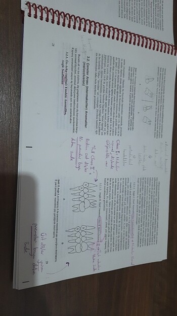 Ortodonti - Prof. Dr. Mustafa Ülgen - Görsel 5