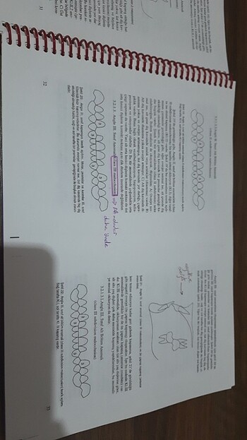 Ortodonti - Prof. Dr. Mustafa Ülgen - Görsel 6