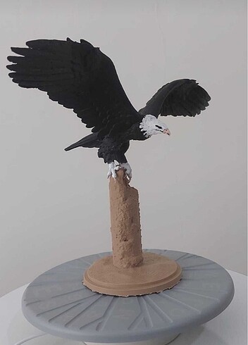 Kara Kartal Beşiktaş Biblosu
