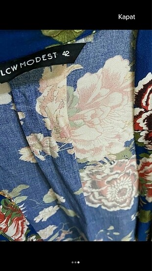 Kimono