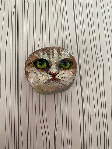 El boyaması kedi taş