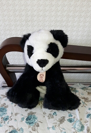 sevimli panda