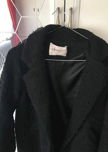 Siyah uzun tüylü kaban - Görsel 2