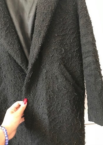 Siyah uzun tüylü kaban - Görsel 4