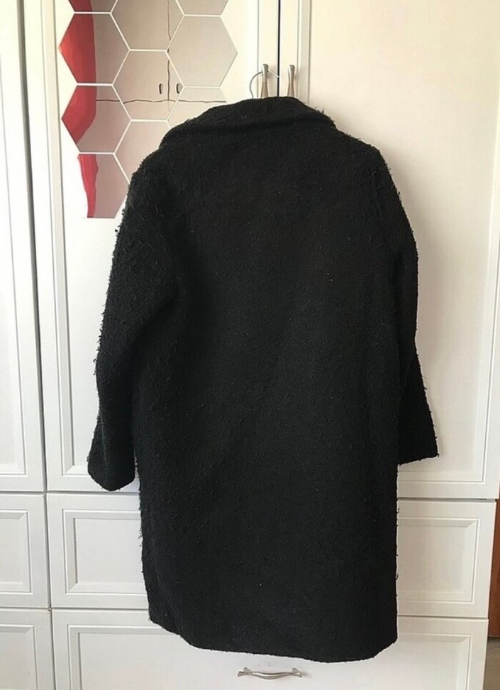 Siyah uzun tüylü kaban - Görsel 3