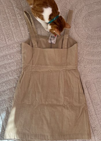 Mango elbise - Görsel 4