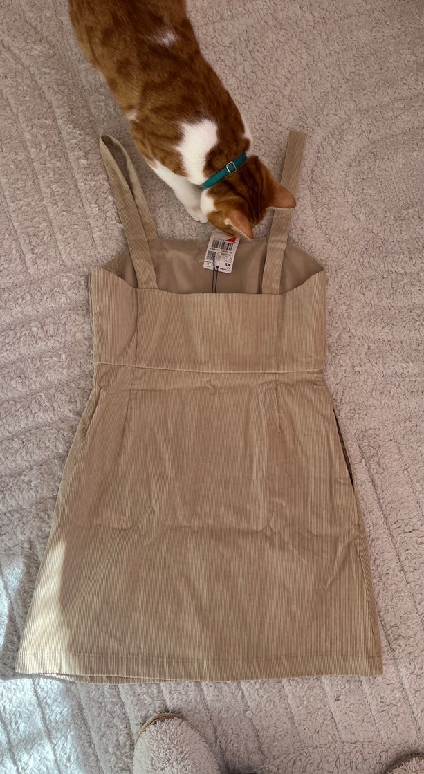 Mango elbise - Görsel 4