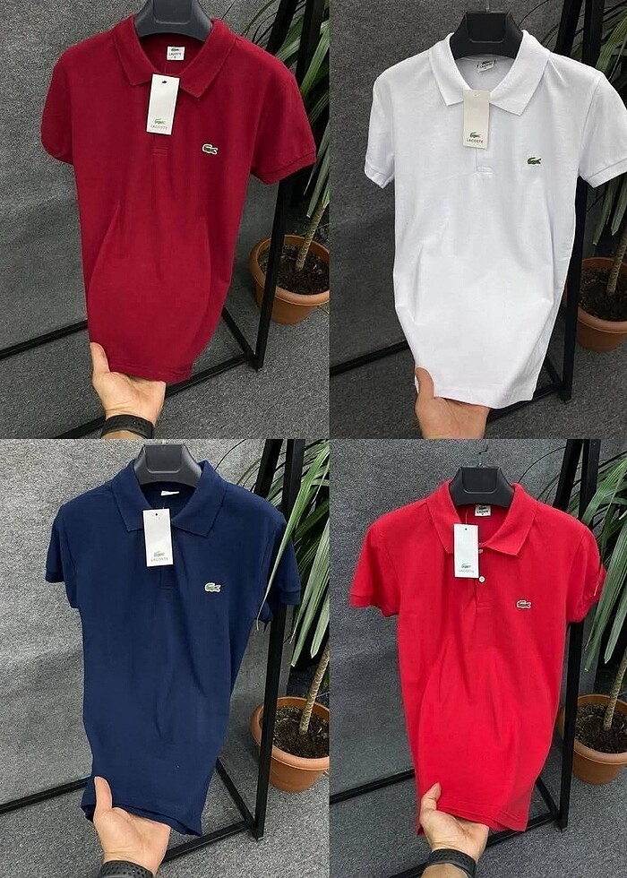 Lacoste  polo yaka - Görsel 3