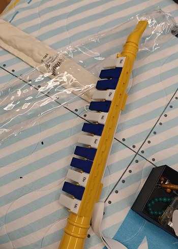 Beden Sarı Pastel Renkli wardem melodika