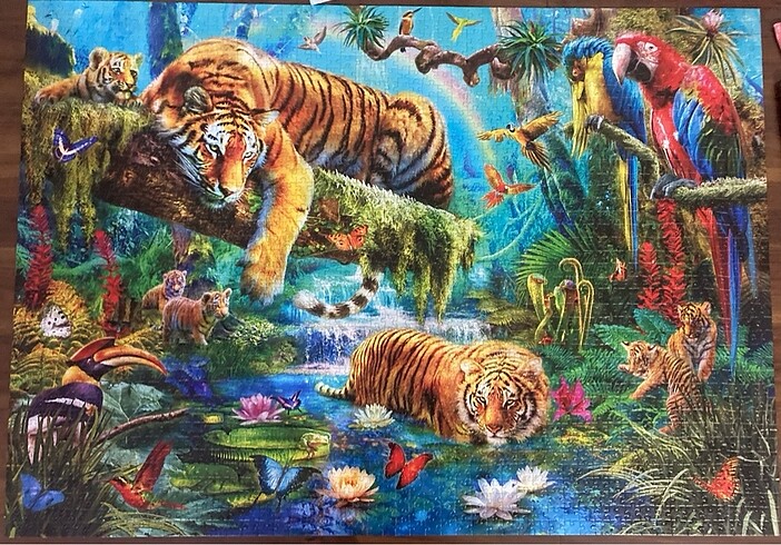  Beden Ks games 2000 parça puzzle