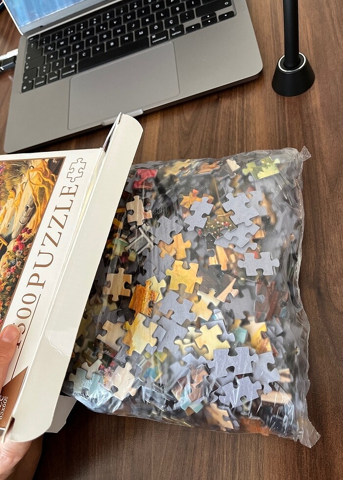 Zoe 1500 parça puzzle - Görsel 2