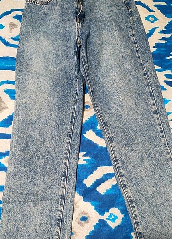 Kot Jean 