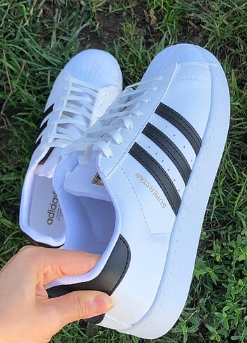 Beyaz süperstar adidas