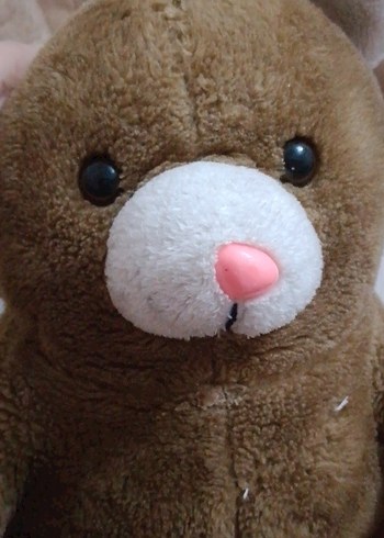 Kahverengi Yumuşak Peluş Ayı Oyuncak - Görsel 2