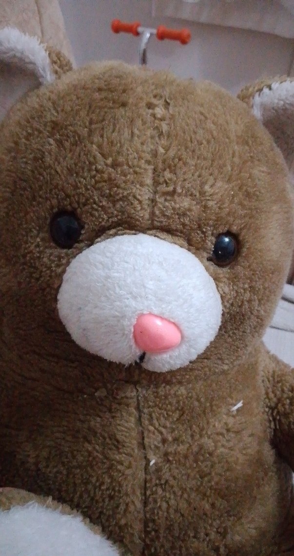 Kahverengi Yumuşak Peluş Ayı Oyuncak - Görsel 5