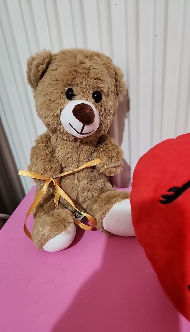 Kalpli Peluş Ayıcık Oyuncak - Görsel 3