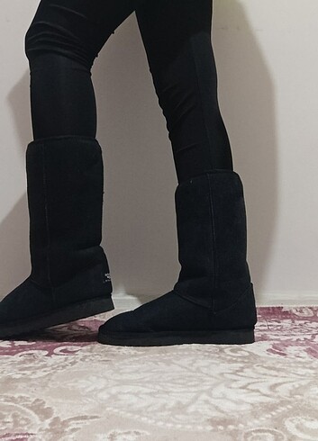 UGG BOT 