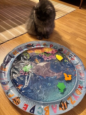  Kedi oyun matı