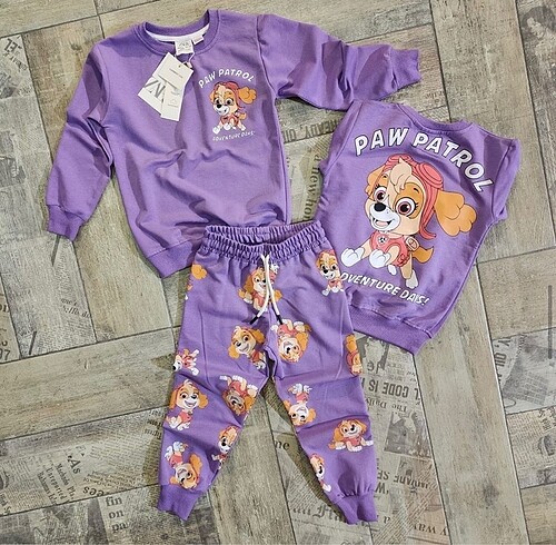 Paw patrol takım