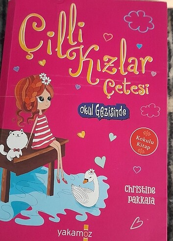 çilli kızlar çetesi 3 kitap
